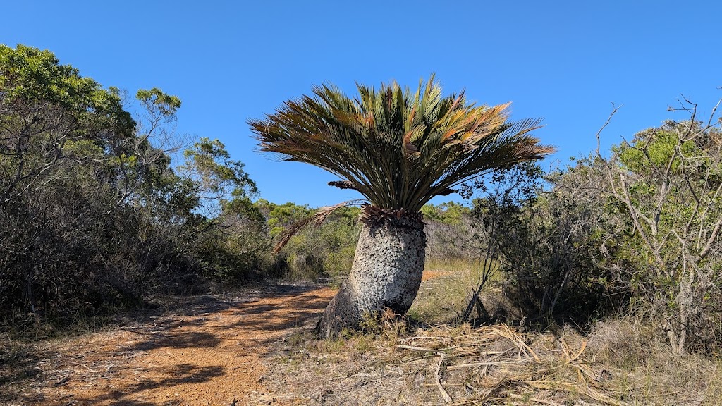 Stokes National Park | Coomalbidgup WA 6450, Australia | Phone: (08) 9083 2100
