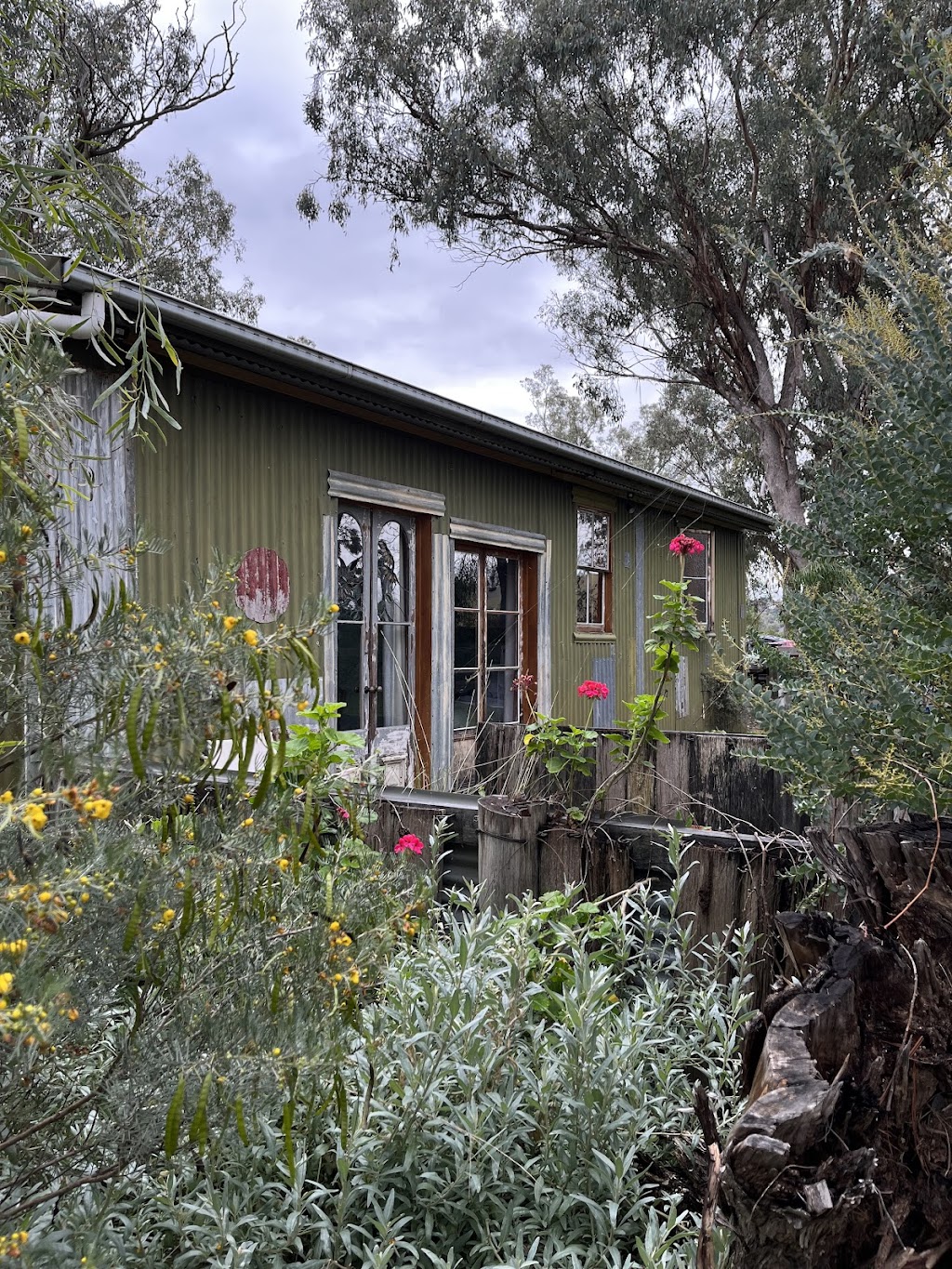 Little House in the Nursery | 50 MacDonald St, Wallabadah NSW 2343, Australia | Phone: 0414 851 302