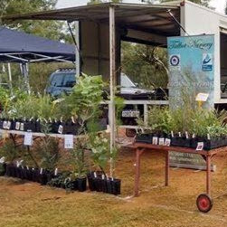 Talbot wholesale Nursery | 1375 York-Williams Rd, Beverley WA 6304, Australia | Phone: (08) 9646 1716