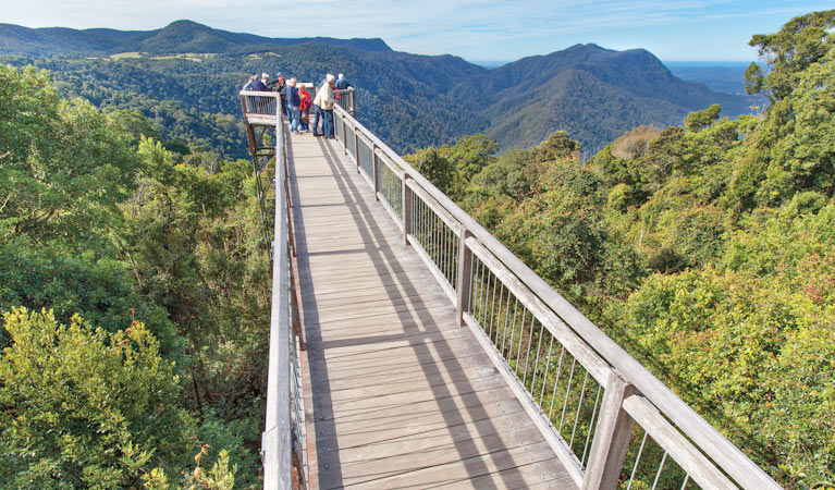 Dorrigo National Park | park | Lyrebird Link, Dorrigo Mountain NSW 2453, Australia | 0266572309 OR +61 2 6657 2309