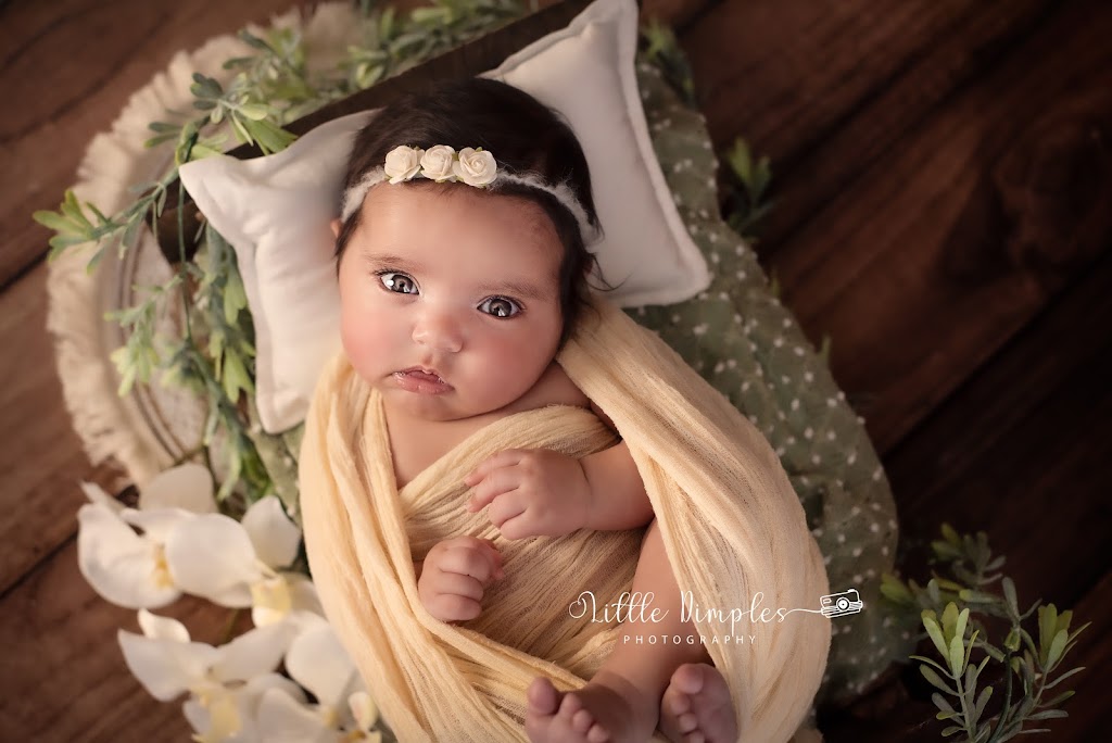 Little Dimples Photography | Oakpark Dr, Melton West VIC 3337, Australia | Phone: 0404 232 996