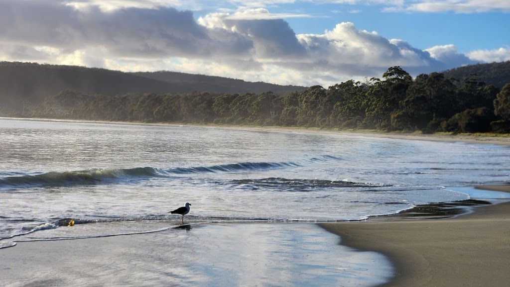 Bruny Island Holiday Park | 786 Adventure Bay Rd, Adventure Bay TAS 7150, Australia | Phone: (03) 6293 1128