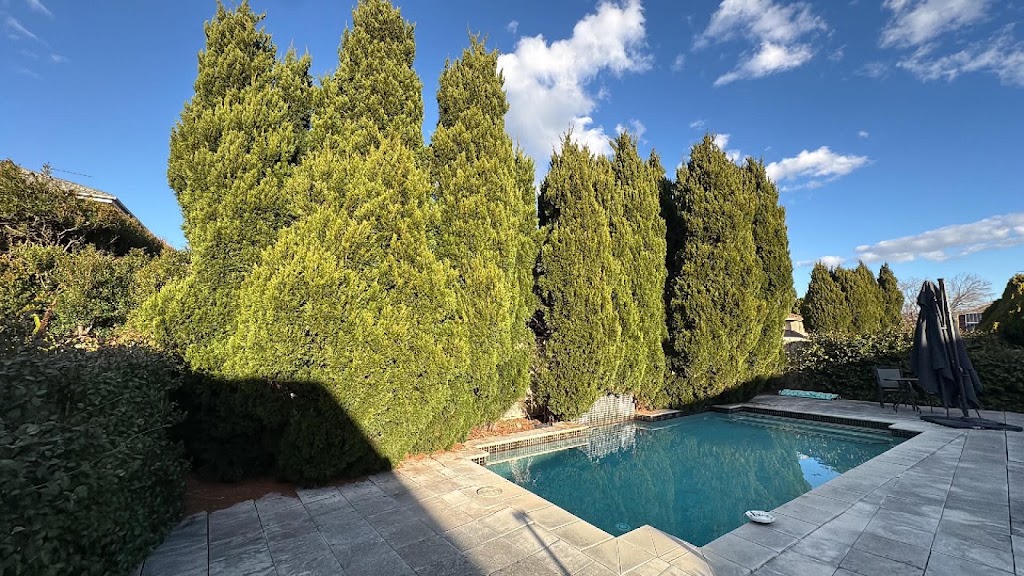 Fine Cut Tree Service | 199 Cawdor Rd, Cawdor NSW 2570, Australia | Phone: 0417 791 567