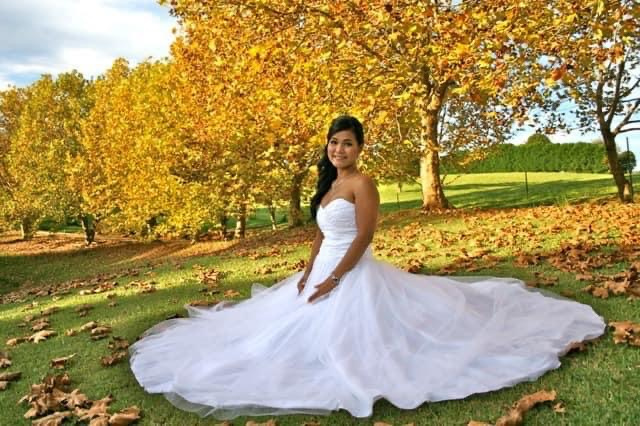 Honey and Lotus Events | Reesville Rd, Reesville QLD 4552, Australia | Phone: 0438 942 226