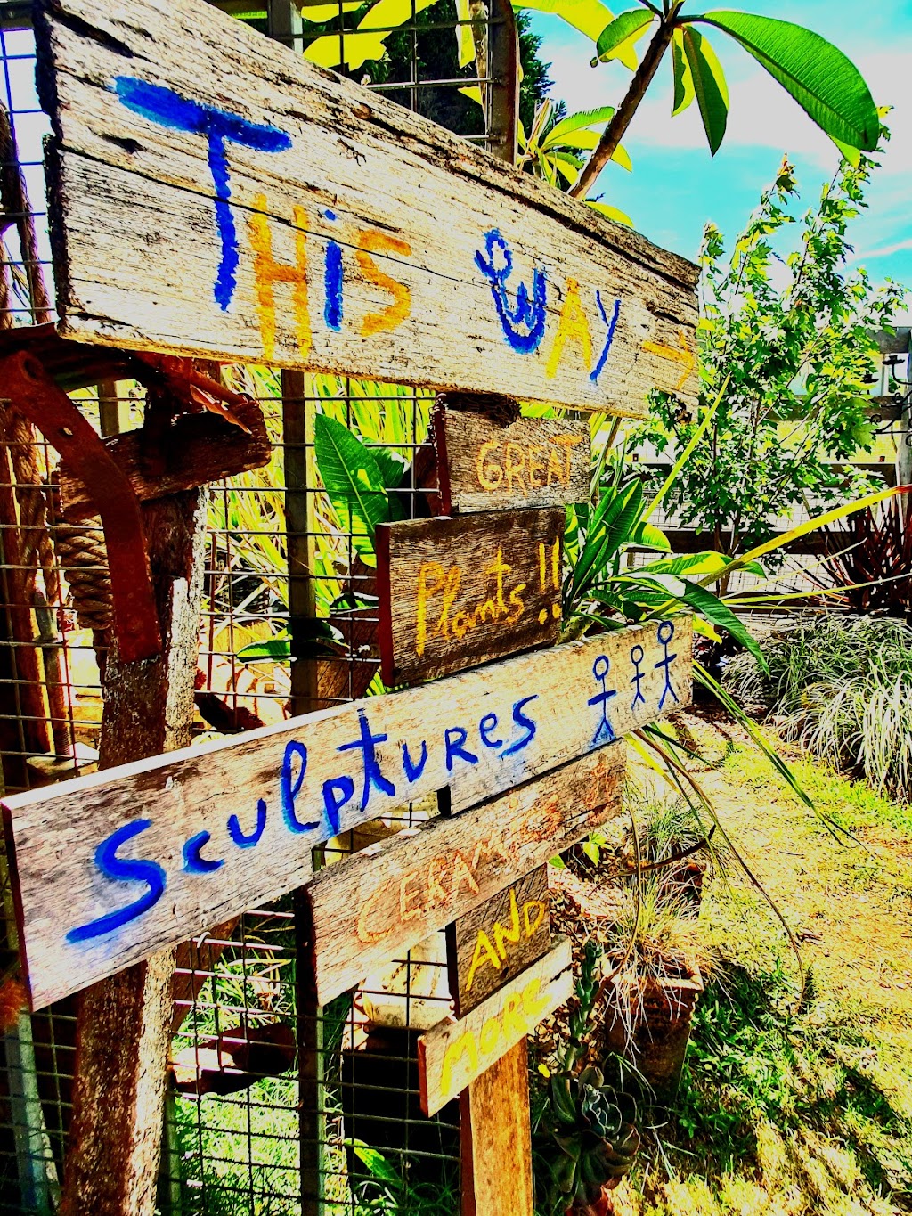 Eclectic the curious Plantman | 3988 Wingham Rd, Comboyne NSW 2429, Australia | Phone: 0477 056 395