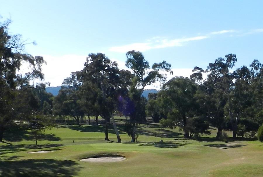 B Performance & Pro Shop | 77 Belvoir Park Rd, Ravenswood VIC 3453, Australia | Phone: (03) 5435 3370