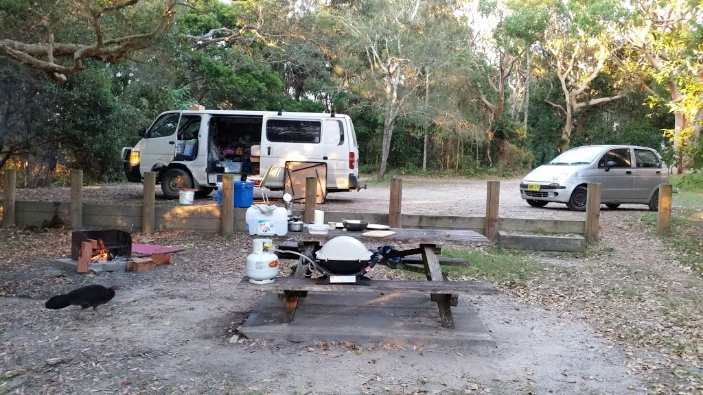 Station Creek campground | campground | Station Creek Road, Barcoongere NSW 2460, Australia | 0266411500 OR +61 2 6641 1500