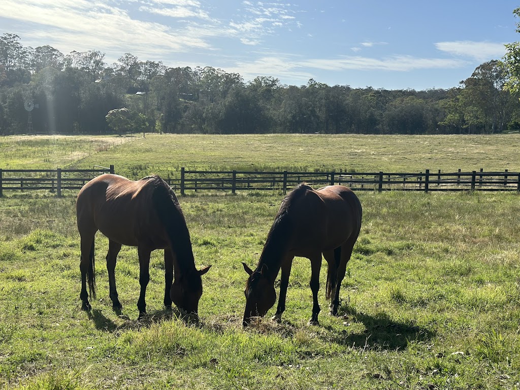 Adonai Equine Services | Mitchell Park Rd, Cattai NSW 2756, Australia | Phone: 0437 321 321