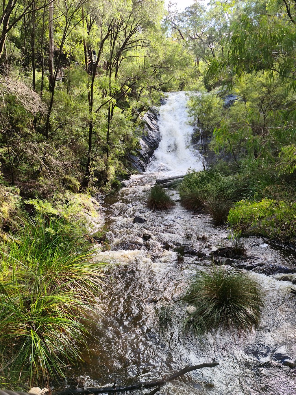 Beedelup Falls | tourist attraction | Beedelup National Park, Beedelup WA 6260, Australia | 0892199000 OR +61 8 9219 9000