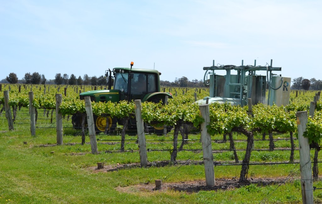 Treasury Wine Estates - Penfolds Vineyard Bordertown | Bordertown SA 5268, Australia | Phone: (08) 8765 5613