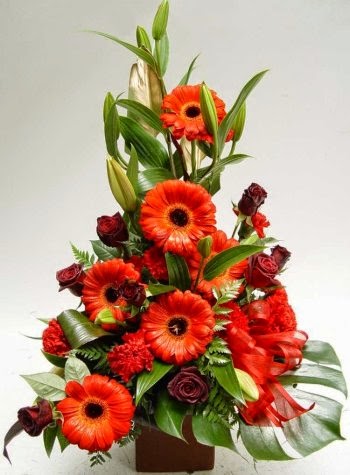 Plants in Flower | florist | 54 Fifty Rd, Baldivis WA 6171, Australia | 0895241371 OR +61 8 9524 1371