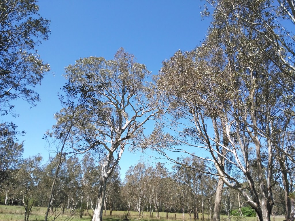 Bellbird Corner Riverside Reserve | Sandy Creek Rd, Maffra VIC 3860, Australia