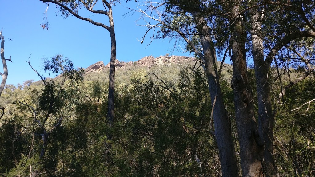 Neds Peak |  | Taggerty VIC 3714, Australia | 131963 OR +61 131963