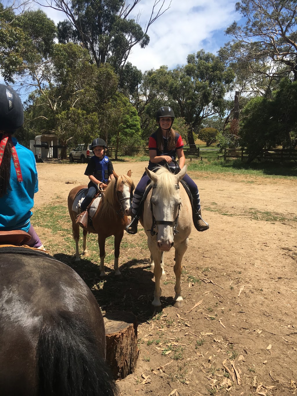 Arthurs Seat Indoor Equestrian Centre | 579 Arthurs Seat Rd, Arthurs Seat VIC 3936, Australia | Phone: 0438 892 774