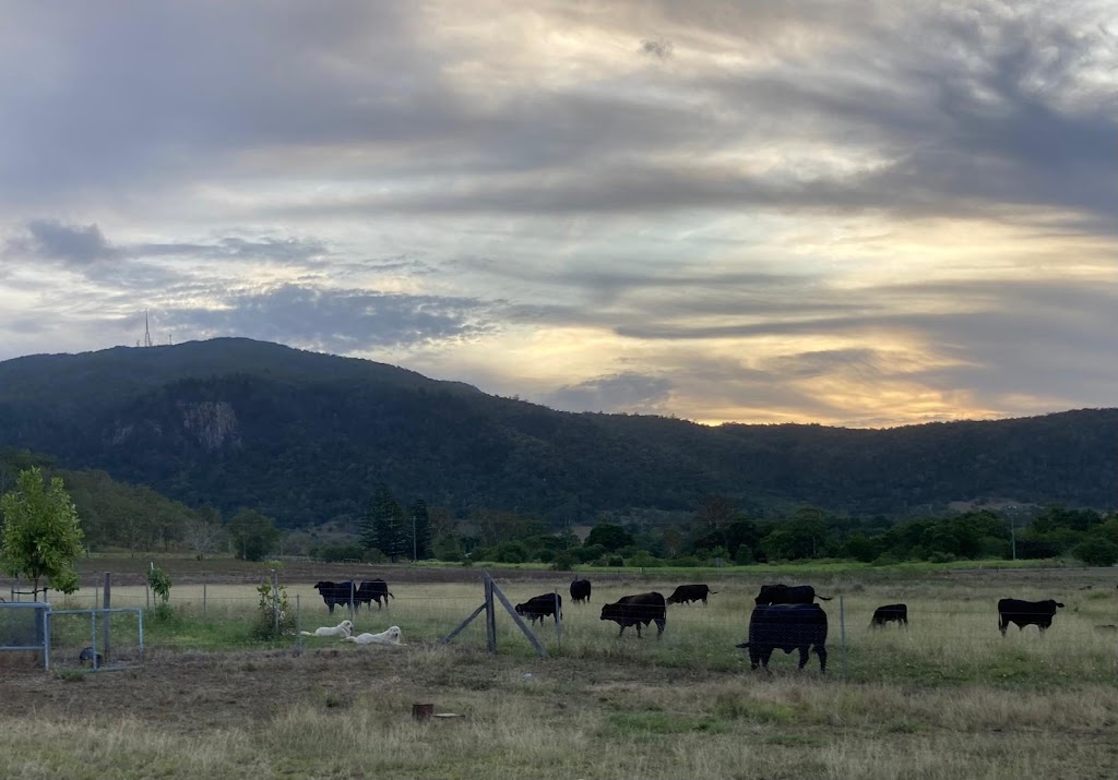Mount Jukes Family Farm | 1000 Kuttabul Mount Jukes Rd, Mount Jukes QLD 4740, Australia | Phone: 0417 928 099