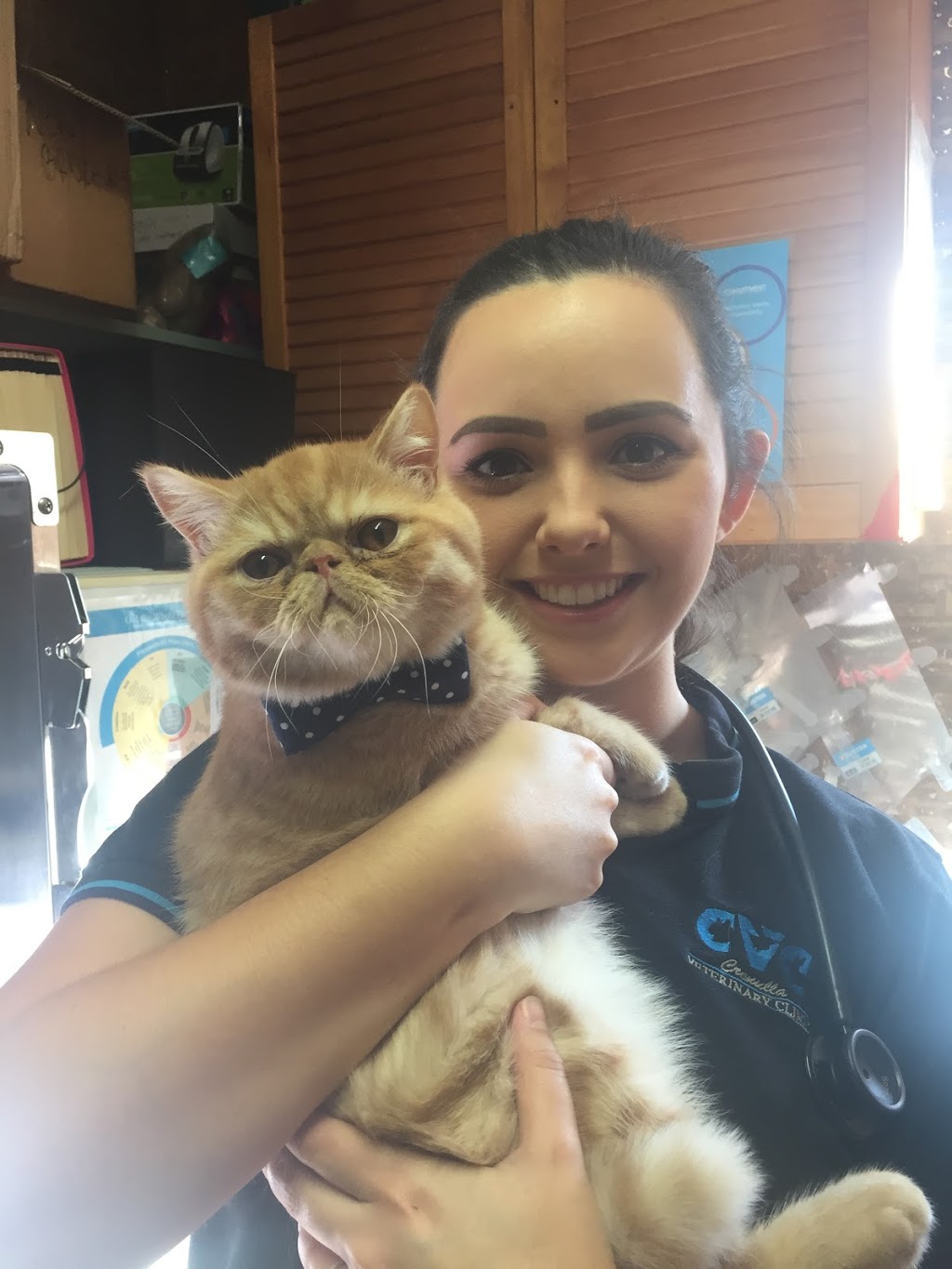 Cronulla Veterinary Clinic, Sutherland Shire Vet | veterinary care | 41 Kingsway, Cronulla NSW 2230, Australia | 0295272604 OR +61 2 9527 2604