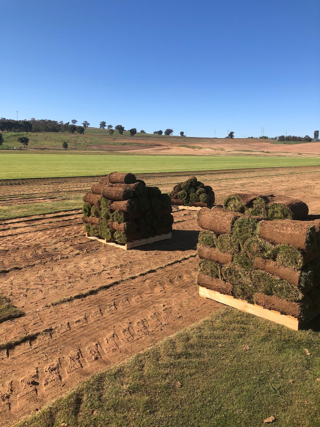 Rivturf Pty Ltd | East St, North Wagga Wagga NSW 2650, Australia | Phone: (02) 6925 8265