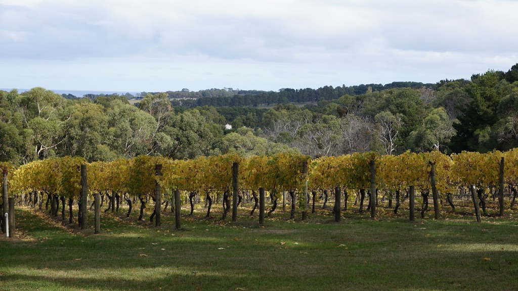 Red Hill Rail Trail | 155 Shoreham Rd, Red Hill South VIC 3937, Australia