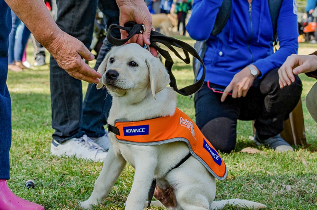 Guide Dogs Centre - Glossodia |  | 1 Spinks Rd, Glossodia NSW 2756, Australia | 0245797555 OR +61 2 4579 7555