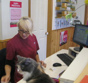 Hoppers Crossing Veterinary Clinic & Hospital | 5 Barber Dr, Hoppers Crossing VIC 3029, Australia | Phone: (03) 9748 6644