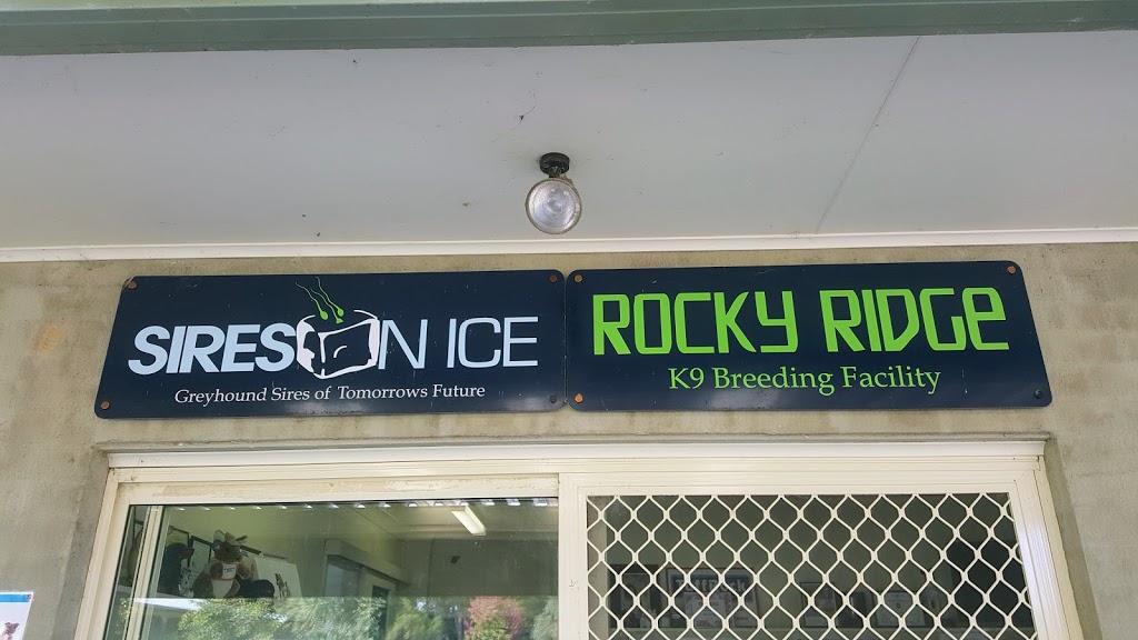 SIRES ON ICE GREYHOUNDS | 3 Jones Rd, Calga NSW 2250, Australia | Phone: (02) 4375 1001