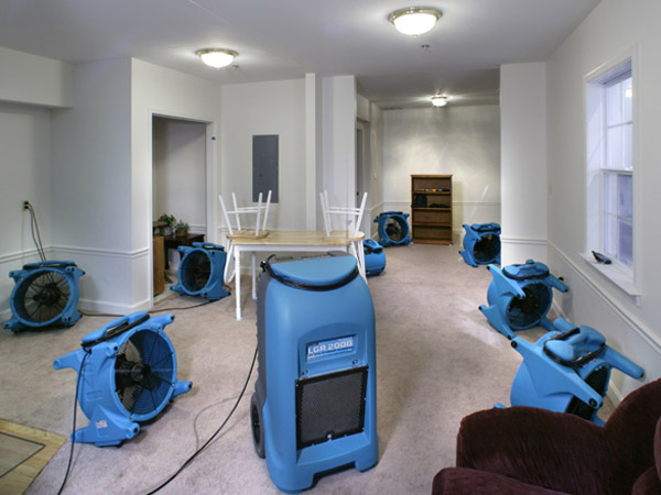 Quick Carpet Cleaners | laundry | 57/60 Caseys Rd, Hope Island QLD 4212, Australia | 0484312966 OR +61 484 312 966