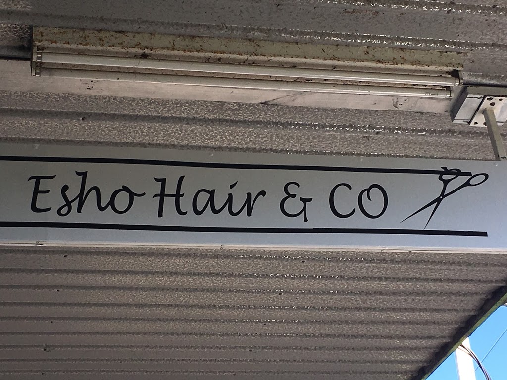 Esho Hair & Co | hair care | 35 Albion St, Essendon VIC 3040, Australia | 0390783008 OR +61 3 9078 3008