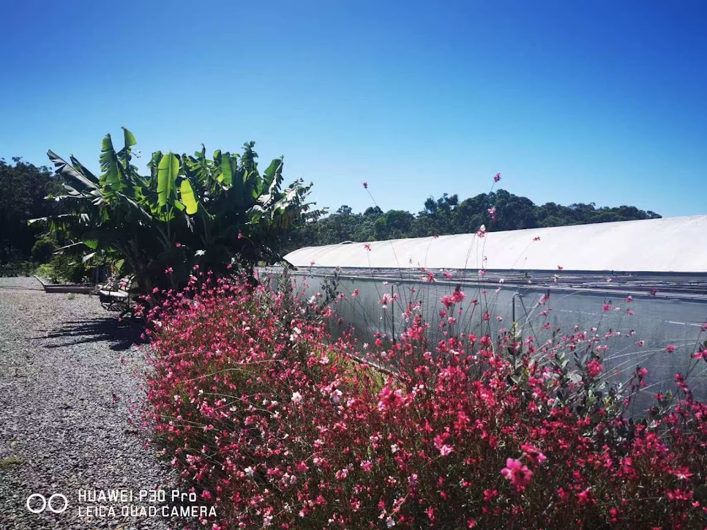 Mt Nellinda Campsites | 96 Mount Nellinda Rd, Cooranbong NSW 2265, Australia | Phone: 0413 304 610