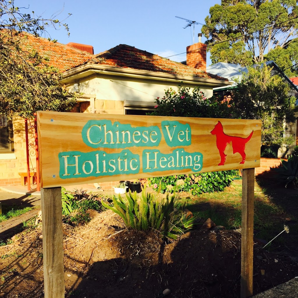 Chinese Vet - Holistic Healing | 8 Ferry Ave, Plympton Park SA 5038, Australia | Phone: 0430 101 623