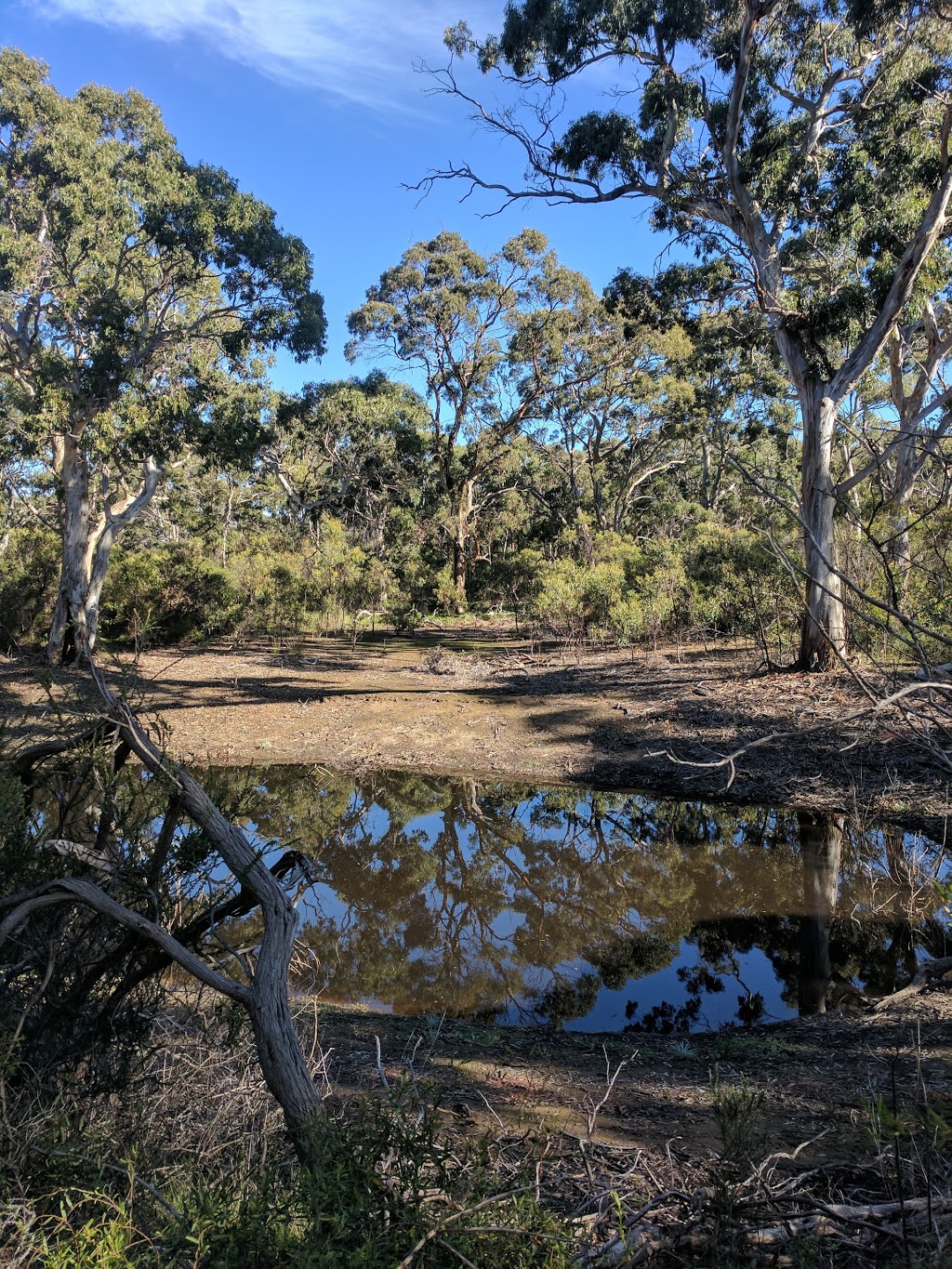 Scott Conservation Park | park | Gould Rd, Currency Creek SA 5214, Australia | 0882041910 OR +61 8 8204 1910