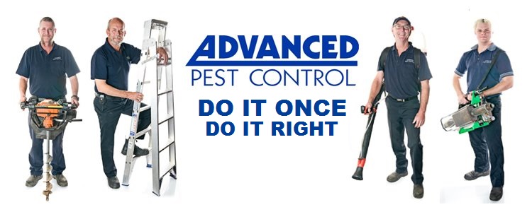 Advanced Pest Control (South West) | home goods store | 6 Austral Parade, Bunbury WA 6230, Australia | 0897213433 OR +61 8 9721 3433