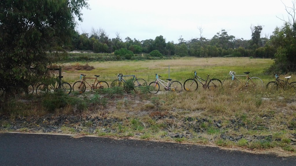 Winifred Curtis Reserve | park | 23282 Tasman Hwy, Scamander TAS 7215, Australia