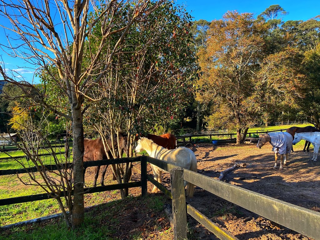 Foxhill Equestrian | 142 Pacific Hwy, Ourimbah NSW 2258, Australia | Phone: 0416 122 259