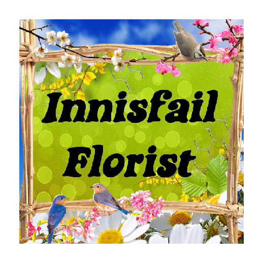 Innisfail Florist | florist | 2 Rankin St, Innisfail QLD 4871, Australia | 0740611062 OR +61 7 4061 1062