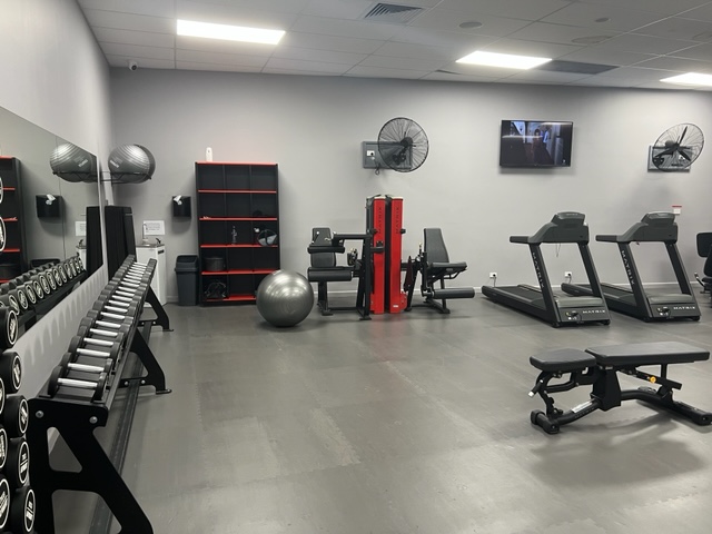 Movilise Physiotherapy | 24 Rowood Rd, Prospect NSW 2148, Australia | Phone: 0480 284 108