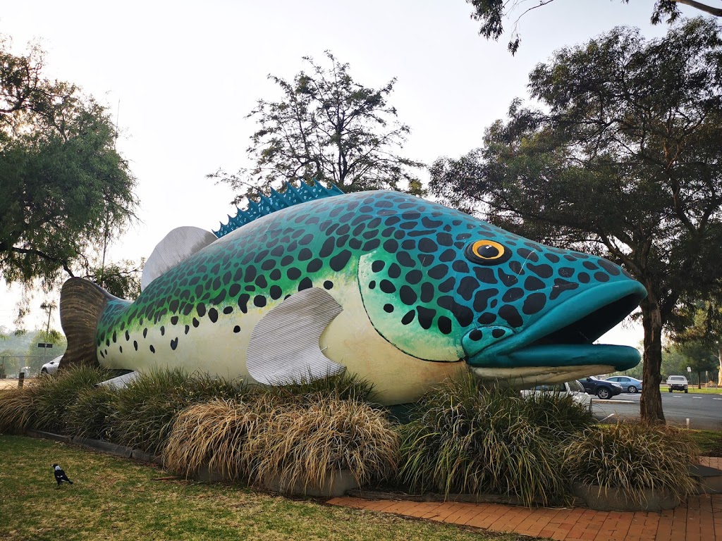 The Giant Murray Cod | 139 Curlewis St, Swan Hill VIC 3585, Australia | Phone: (03) 5036 2333