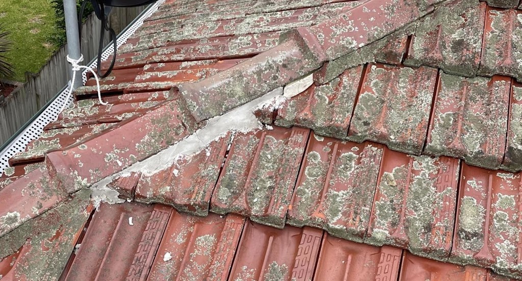 NSW Master Building Inspectors | Level 23/520 Oxford St, Bondi Junction NSW 2022, Australia | Phone: (02) 9369 2787