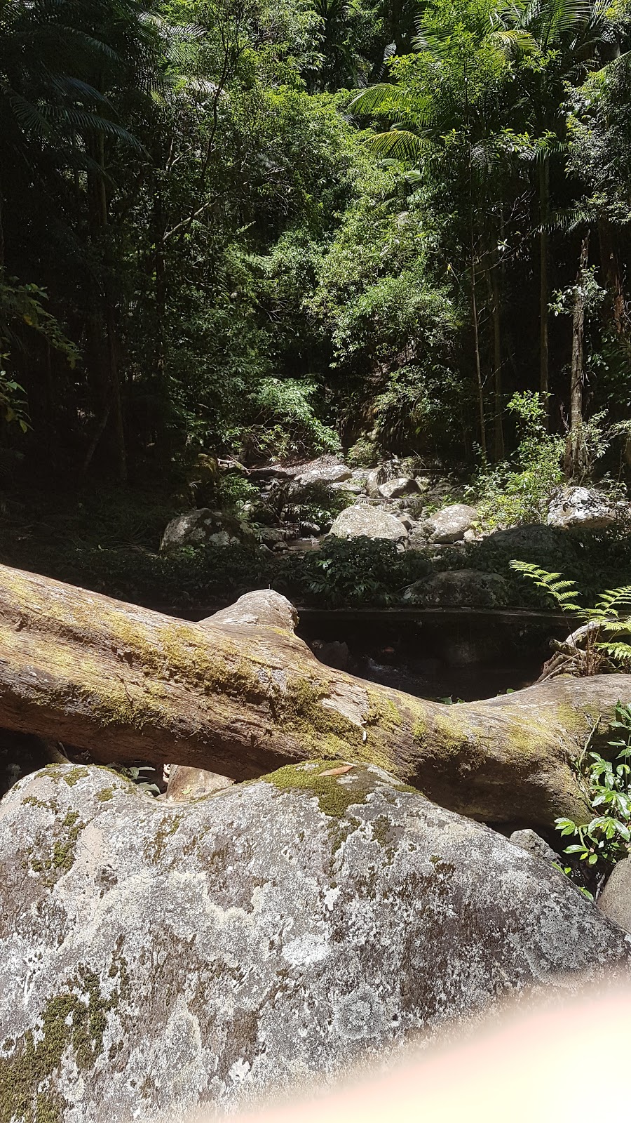 Brushbox Falls Look Out | Unnamed Rd,, Border Ranges NSW 2474, Australia