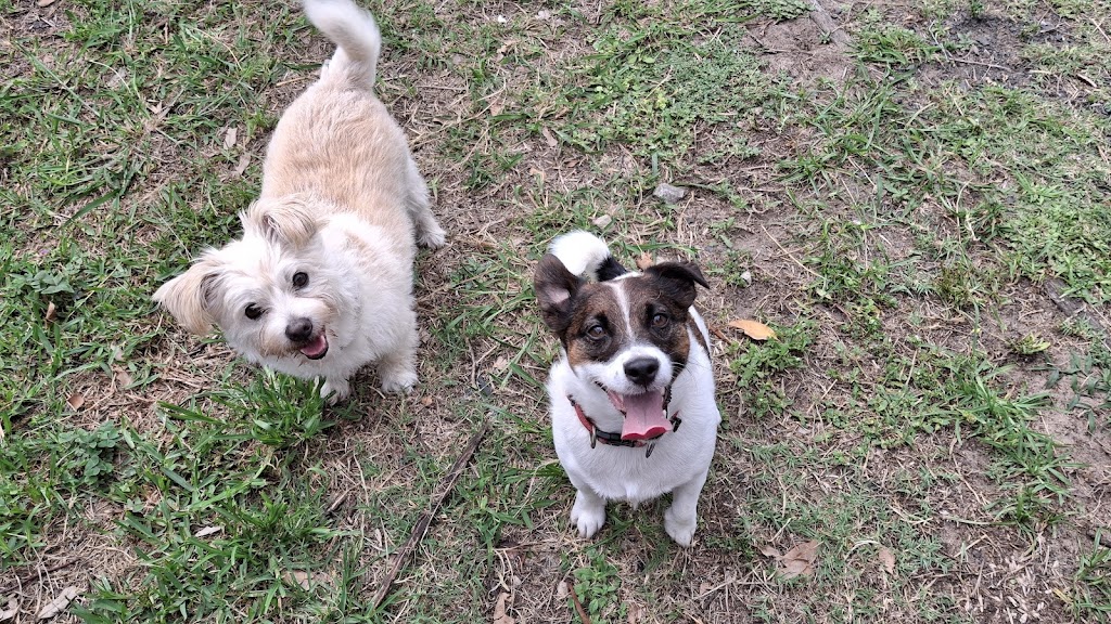 Paws and Play Booker Bay | Davis St, Booker Bay NSW 2257, Australia | Phone: 0431 593 890