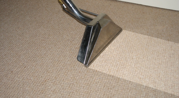 SteamRight Carpet Cleaning | 15 Moronga St, Central Coast NSW 2261, Australia | Phone: 0418 203 677