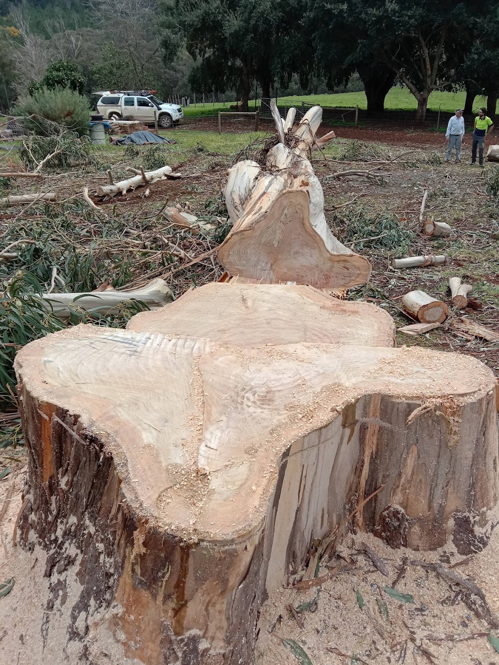 Parks Chainsaw and Tree Services | 32 Forrest St, Bridgetown WA 6255, Australia | Phone: 0459 689 518