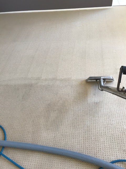 Carpet cleanig $79 for 3 rooms & 50% off pest control | laundry | 32 Martinelli Ave, Banora Point NSW 2486, Australia | 0403873284 OR +61 403 873 284