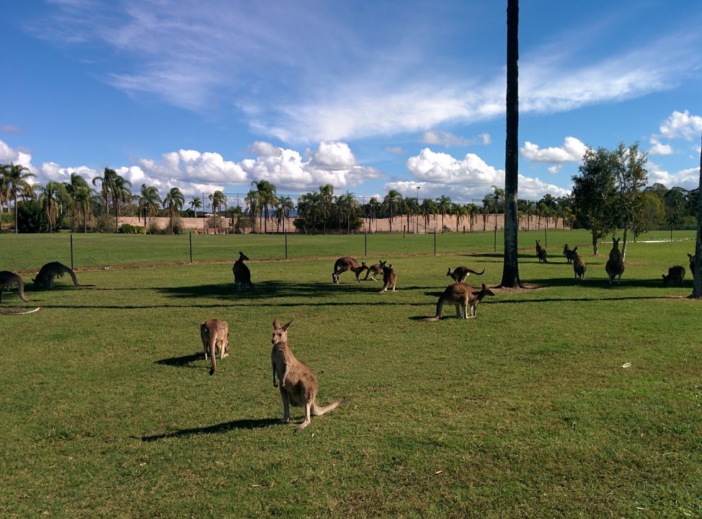 Sanctuary Cove Golf and Country Club | The Pkwy, Hope Island QLD 4212, Australia | Phone: (07) 5699 9000