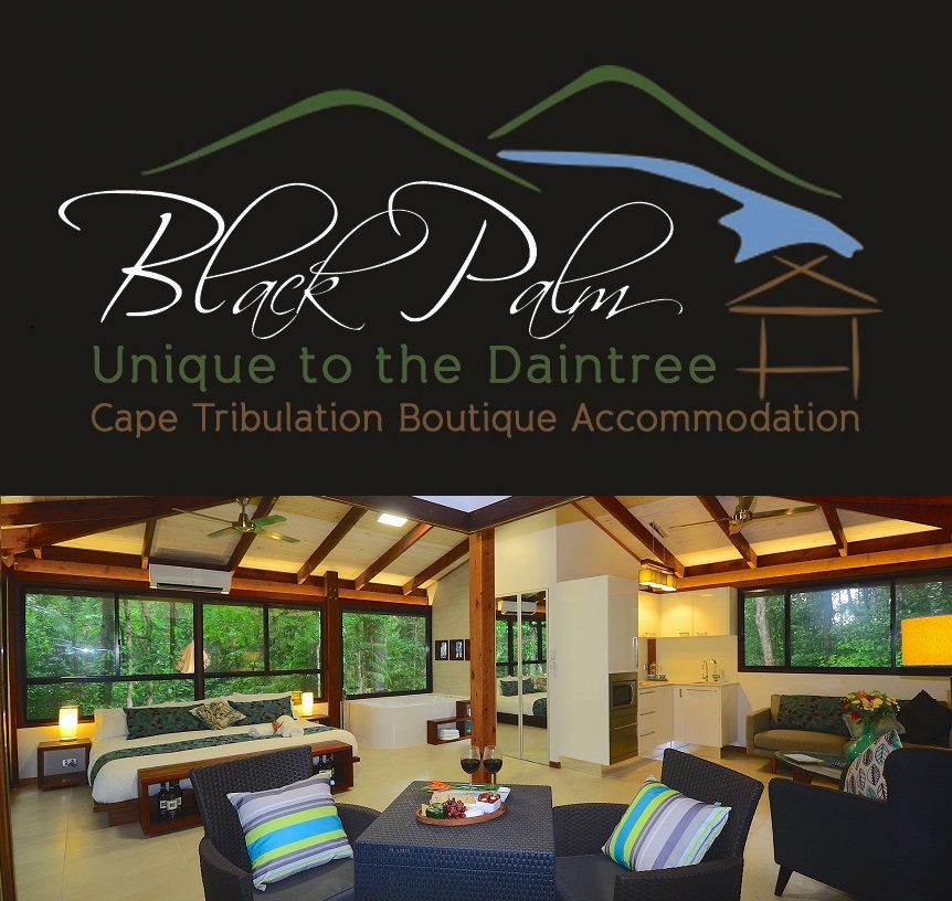 Black Palm Cape Tribulation | lodging | 91 Nicole Dr, Cape Tribulation QLD 4873, Australia | 0740980130 OR +61 7 4098 0130