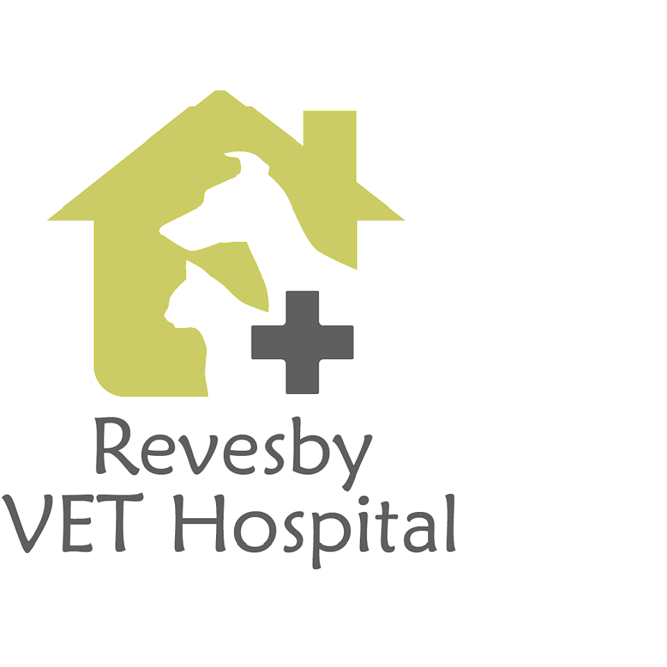 Revesby Vet Hospital | veterinary care | 143 The River Rd, Revesby NSW 2212, Australia | 0287398842 OR +61 2 8739 8842