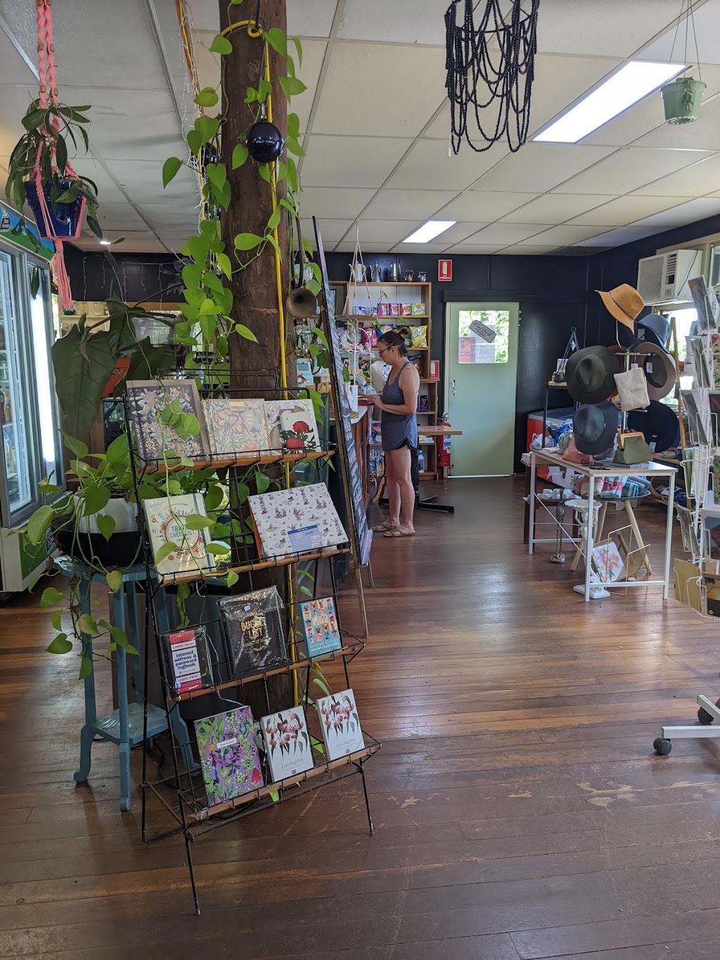 Frond Cafe & Gallery at Lake Eacham | cafe | 198 Lakes Dr, Lake Eacham QLD 4884, Australia | 0740953730 OR +61 7 4095 3730
