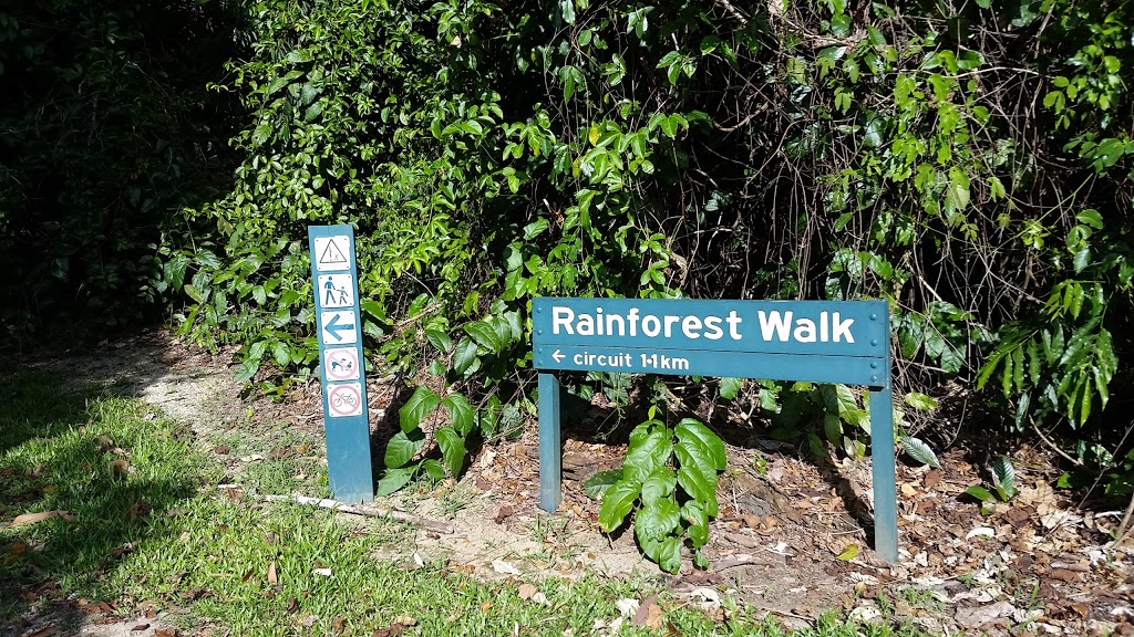 Laceys Creek Day Use Area | park | Djiru QLD 4852, Australia