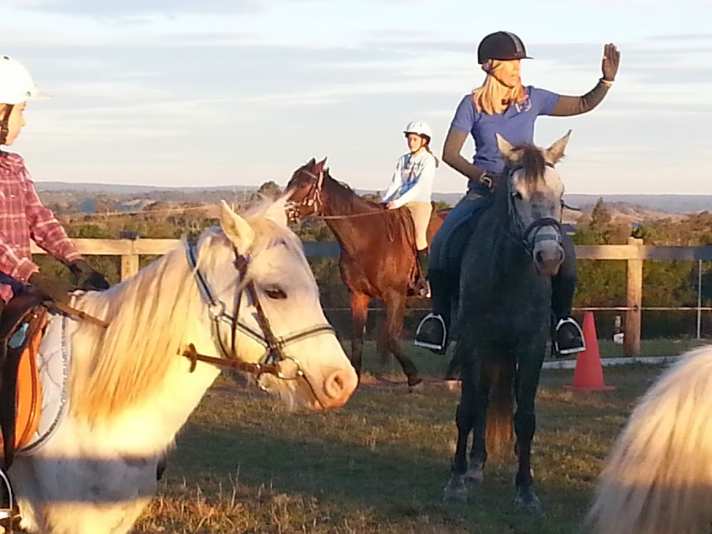 Hills and Hollows Horse Riding School |  | 330 Montpelier Dr, The Oaks NSW 2570, Australia | 0433300095 OR +61 433 300 095