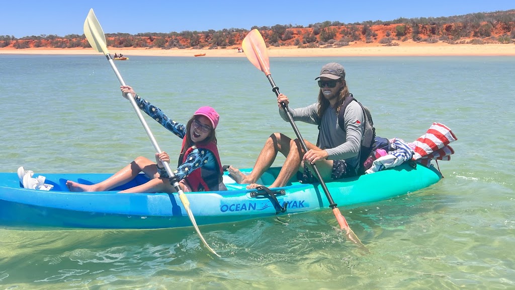 Paddling Monkey Mia Kayak Safaris and SUP Hire | 1 Monkey Mia Rd, Shark Bay WA 6537, Australia | Phone: 0428 911 283