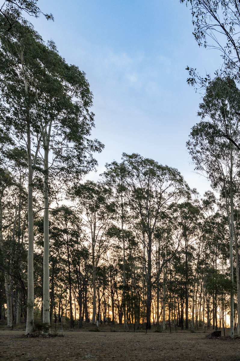 Mawarra Retreat | 136 Boatfalls Dr, Clarence Town NSW 2321, Australia | Phone: 0412 903 015